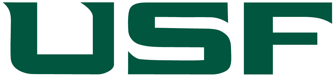 South Florida Bulls 2003-Pres Wordmark Logo v3 diy iron on heat transfer